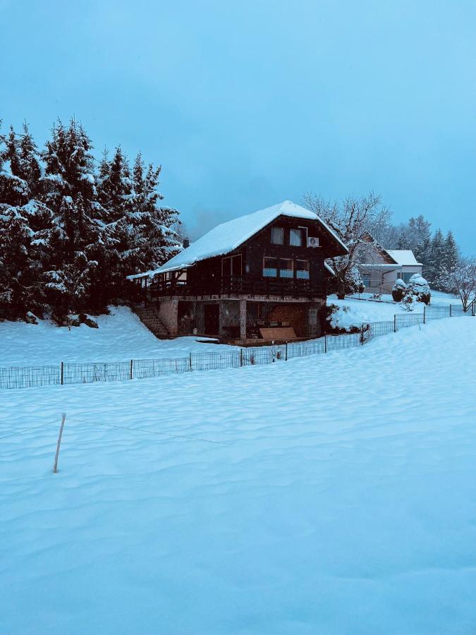 Chalet Pjagodic Cerklje na Gorenjskem Eksteriør bilde